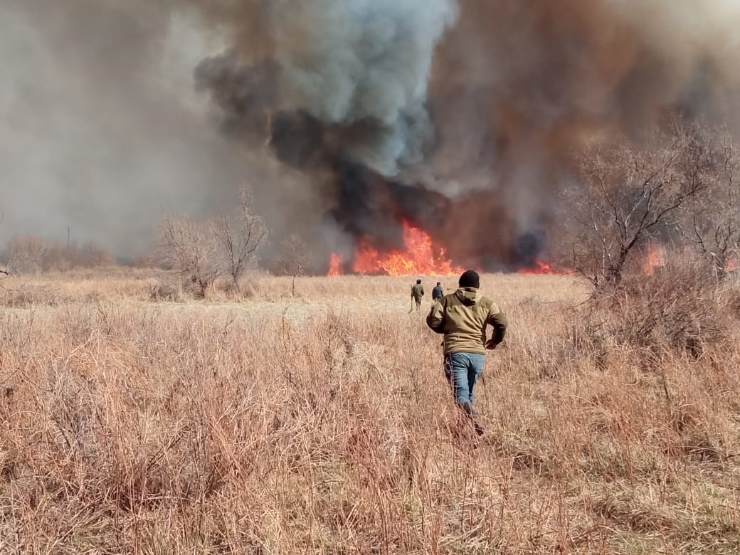 Информация о пожаре в Балхашском районе Алматинской области