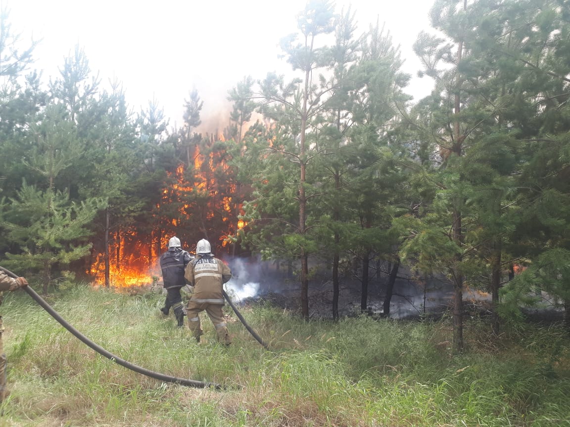Природный пожар на территории Айыртауского района вблизи села Имантау локализован