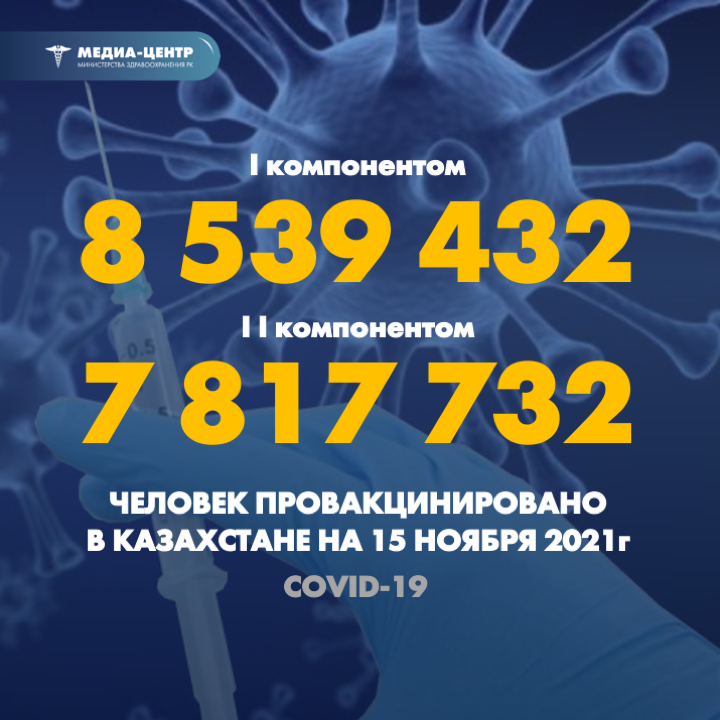 I компонентом 8 539 432 человек провакцинировано в Казахстане на 15 ноября 2021 г, II компонентом 7 817 732 человек.