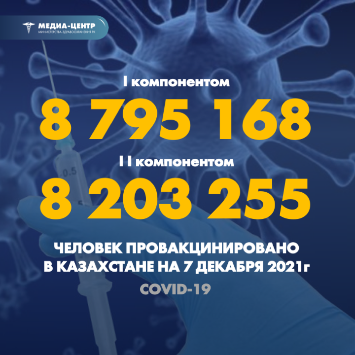 I компонентом 8 795 168 человек провакцинировано в Казахстане на 7 декабря 2021 г, II компонентом 8 203 255 человек.