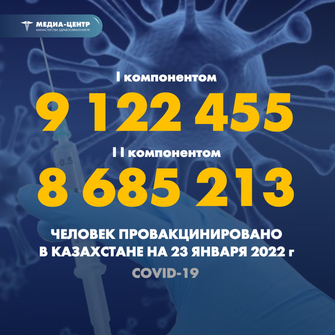 I компонентом 9 122 455 человек провакцинировано в Казахстане на 23 января 2022 г, II компонентом 8 685 213 человек.