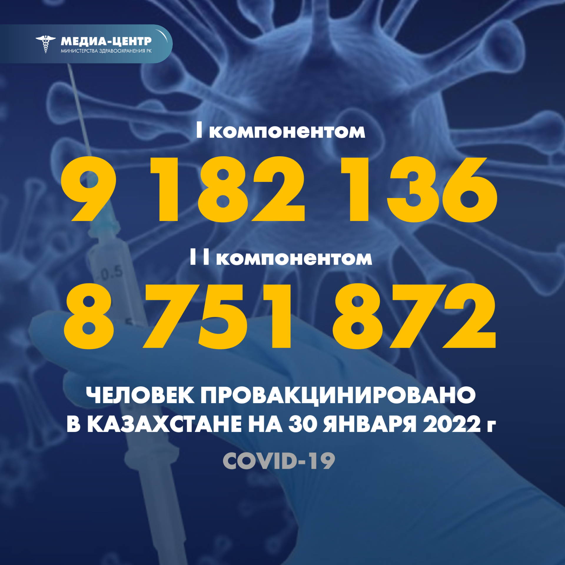 I компонентом 9 182 136 человек провакцинировано в Казахстане на 30 января 2022 г, II компонентом 8 751 872 человек.