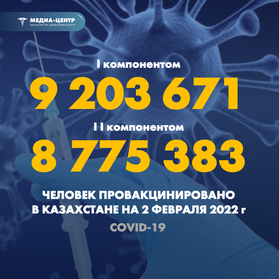 I компонентом 9 203 671 человек провакцинировано в Казахстане на 2 февраля 2022 г, II компонентом 8 775 383 человек.