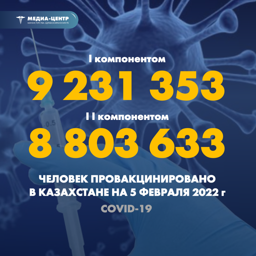 I компонентом 9 231 353 человек провакцинировано в Казахстане на 5 февраля 2022 г, II компонентом 8 803 633 человек.