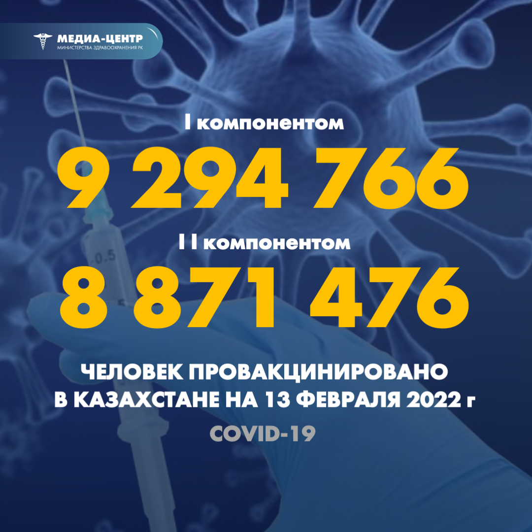 I компонентом 9 294 766 человек провакцинировано в Казахстане на 13 февраля 2022 г, II компонентом 8 871 476 человек.
