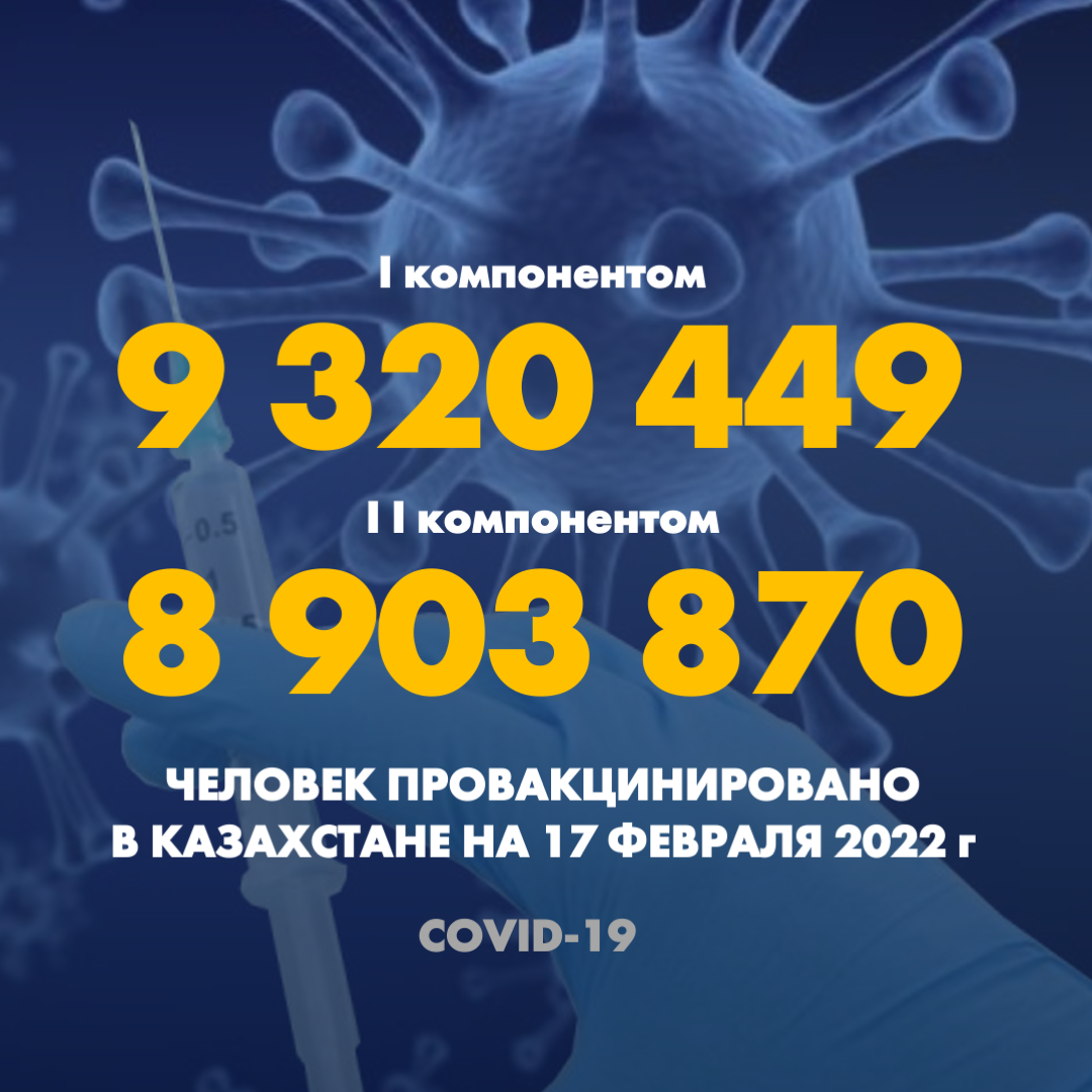 I компонентом 9 320 449 человек провакцинировано в Казахстане на 17 февраля 2022 г, II компонентом 8 903 870 человек.