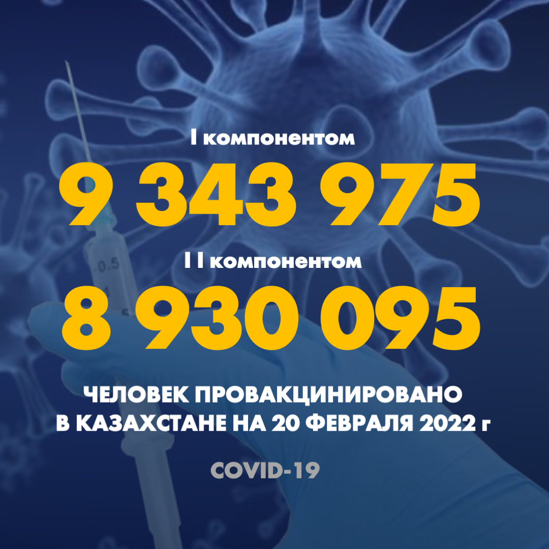 I компонентом 9 343 975 человек провакцинировано в Казахстане на 20 февраля 2022 г, II компонентом 8 930 095 человек.