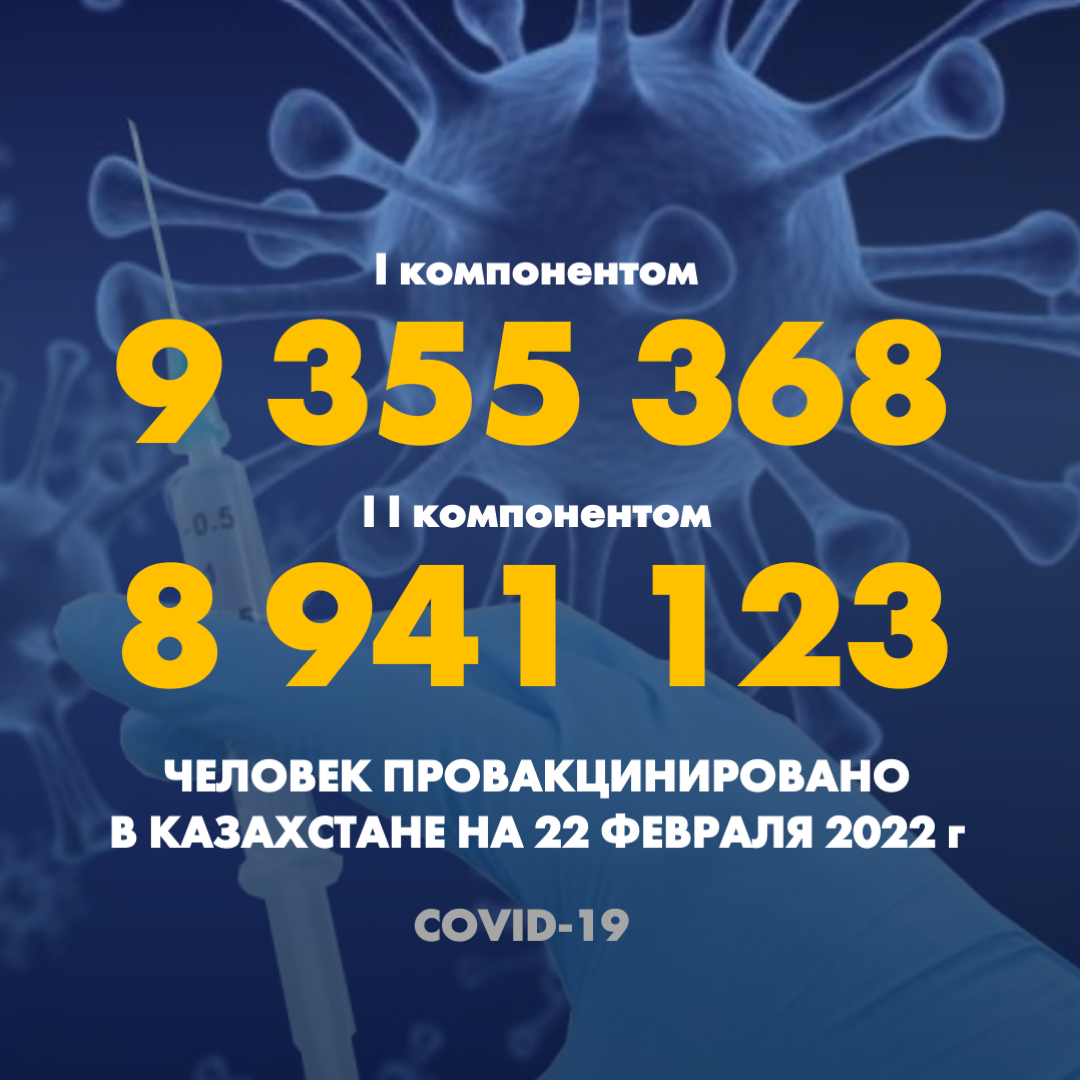 I компонентом 9 355 368 человек провакцинировано в Казахстане на 22 февраля 2022 г, II компонентом 8 941 123 человек.