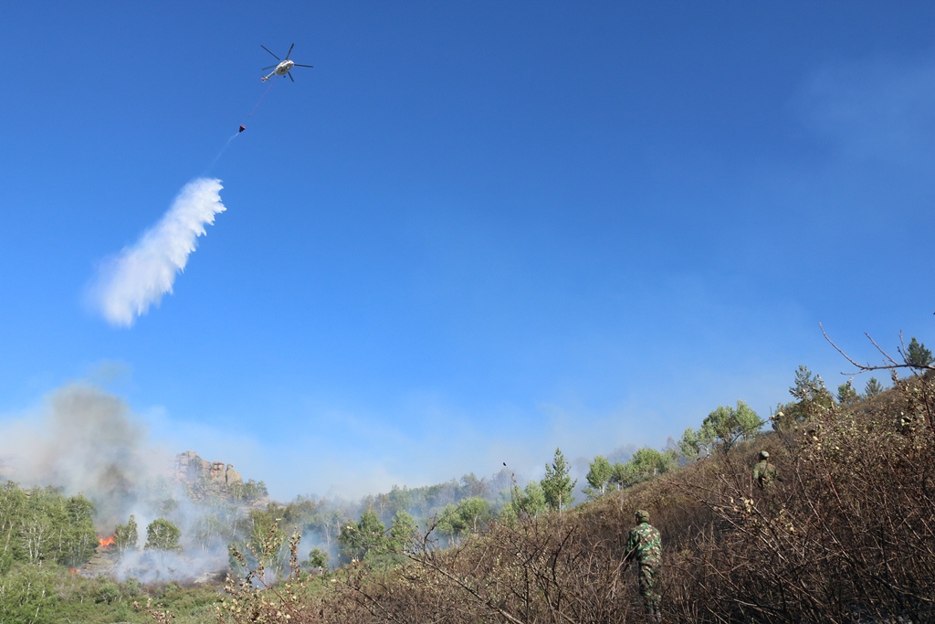 Тушение пожара в Каркаралинском районе продолжается наземным и воздушным способами