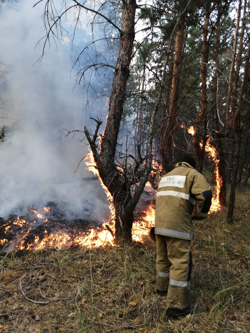 Оперативная информация по природному пожару произошедшему в Костанайской области 21.00 часов 4 сентября