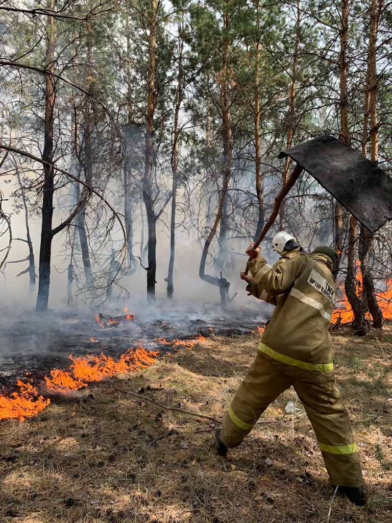 В районе  Алтай ведется борьба с огнем