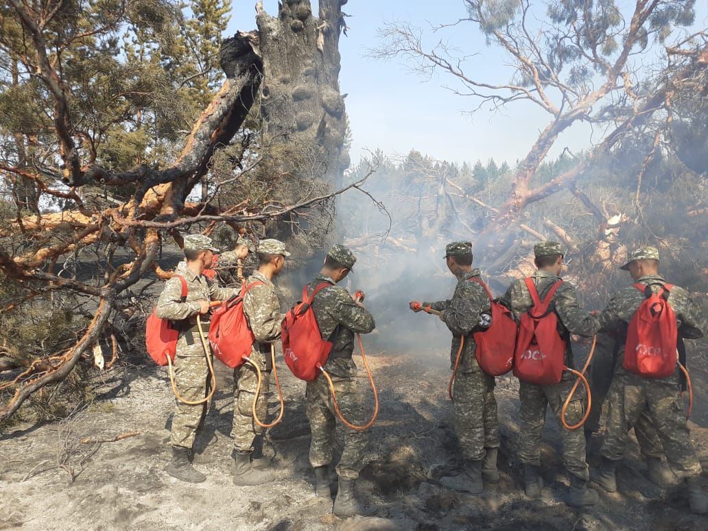 Личный состав воинской части 52859 проводит работу по ликвидации лесного пожара в Костанайской области