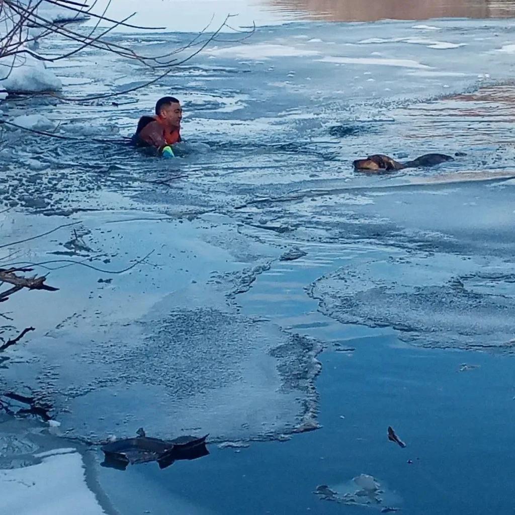 Атырауские спасатели спасли женщину, провалившуюся под лед