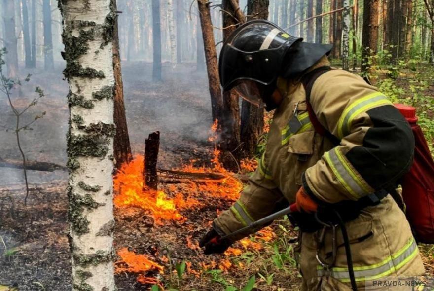 В Восточном Казахстане сохраняется пожарная опасность