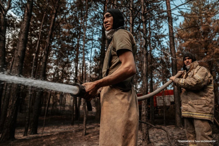 Почему лесные пожары в Казахстане становятся настоящим бедствием: мнение профессионала
