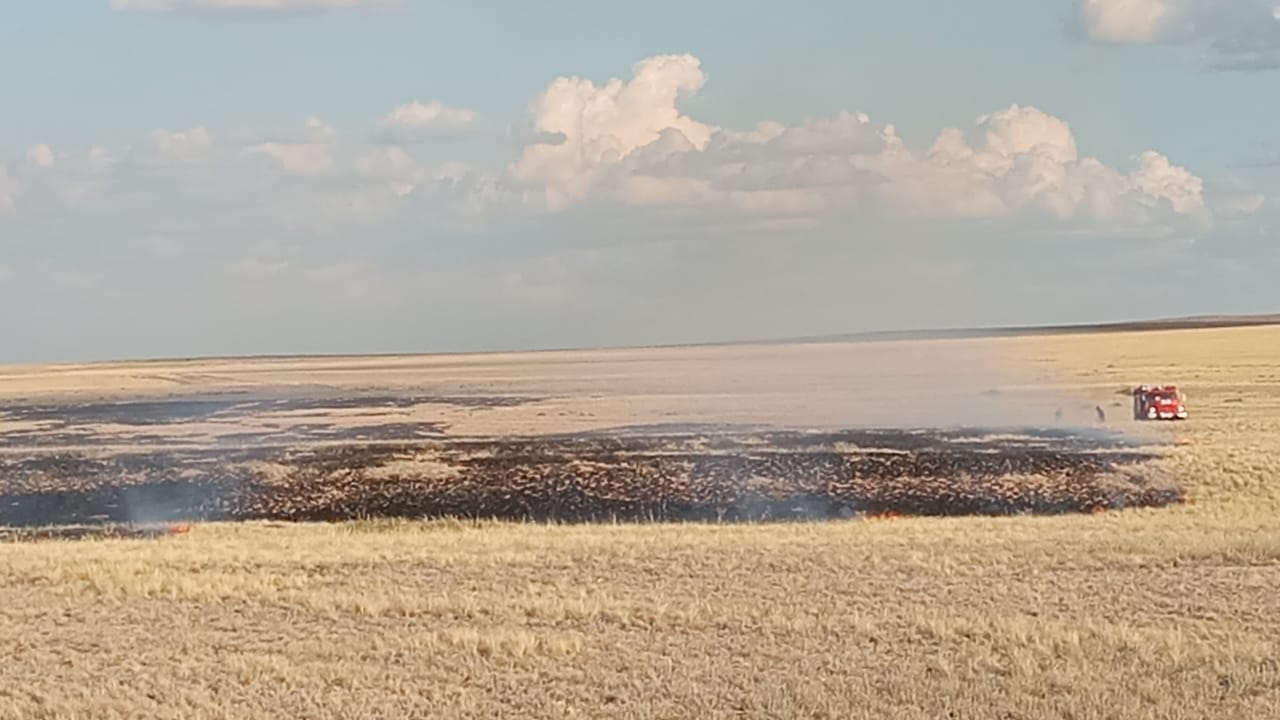 Природный пожар, возникший из-за грозы, тушат в Карагандинской области