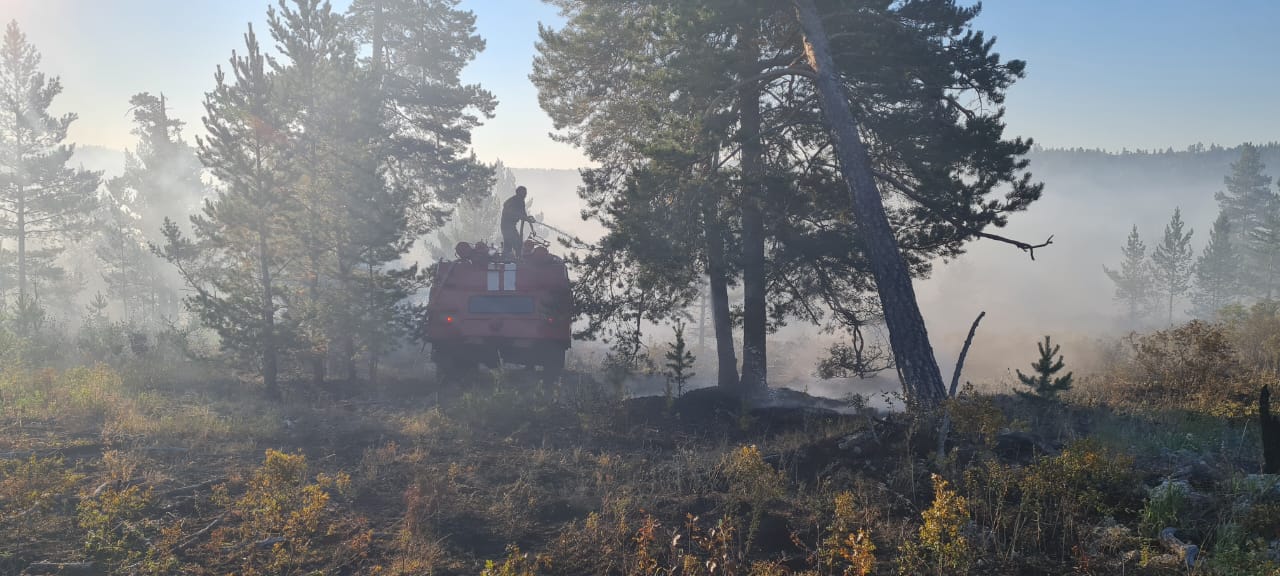 В Восточном Казахстане лесники и пожарные  ликвидировали загорание в лесной зоне