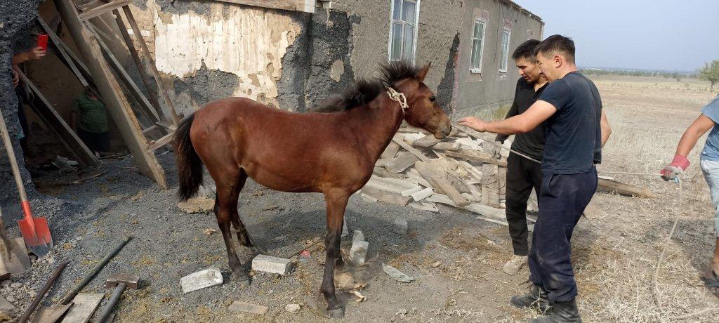 Рейды в пожароопасный период