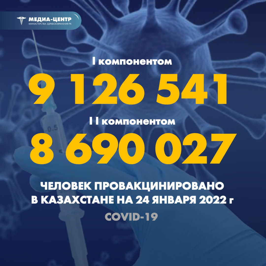 I компонентом 9 126 541 человек провакцинировано в Казахстане на 24 января 2022 г, II компонентом 8 690 027 человек.