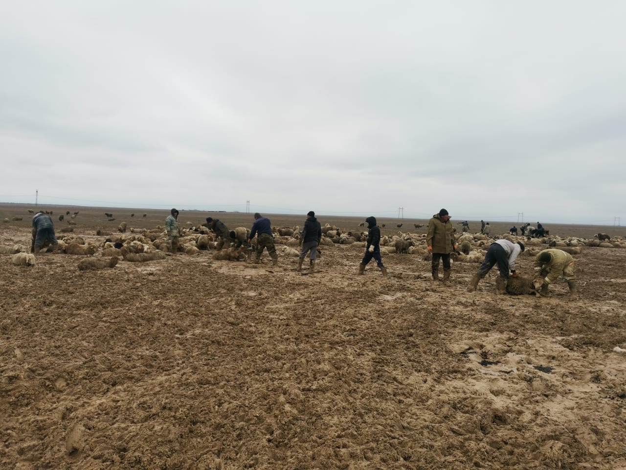 В МИНЗДРАВЕ СОВМЕСТНО С НПП «АТАМЕКЕН» ОБСУДИЛИ ВОПРОСЫ РАЗВИТИЯ ОТП В СИСТЕМЕ ЗДРАВООХРАНЕНИЯ