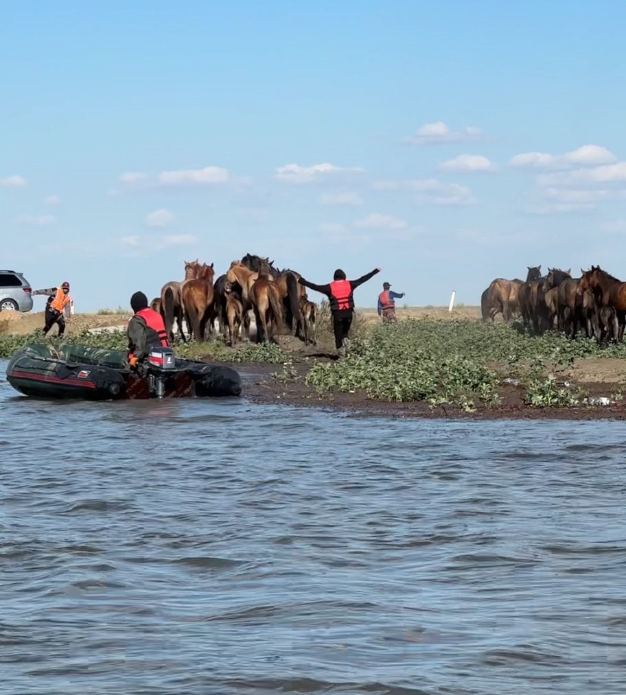 В Индерском районе Атырауской области наблюдается снижение уровня воды реки Урал